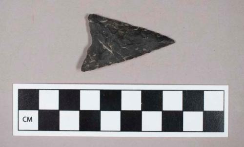 Chipped stone, concave base triangular biface