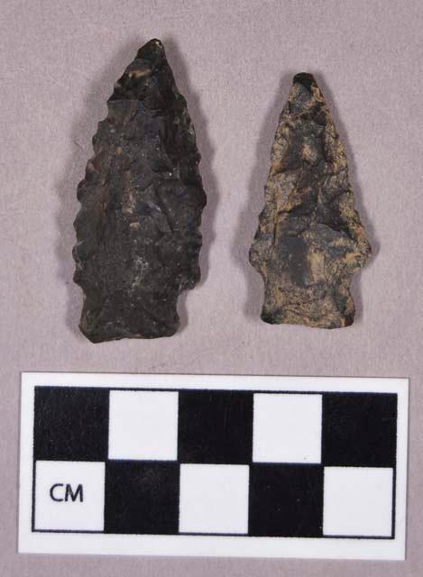 Chipped stone, stemmed projectile points, one with serrated blade