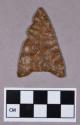 Chipped stone, projectile point, triangular