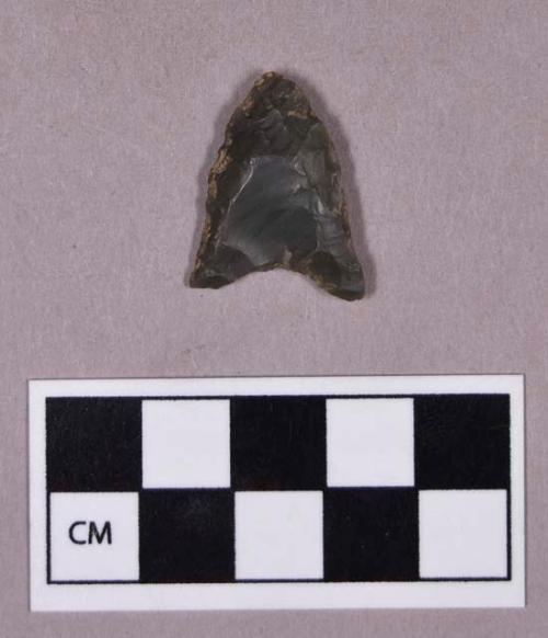 Chipped stone, projectile point, fluted and earred