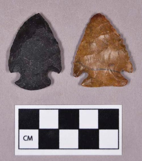 Chipped stone, corner-notched projectile points, one with serrated blade