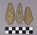 Chipped stone, projectile points, stemmed