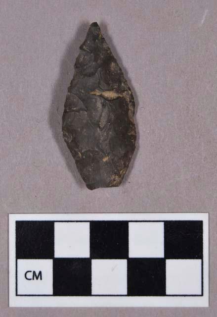 Chipped stone, projectile point, leaf-shaped