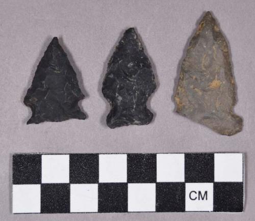 Chipped stone, projectile points, stemmed, corner-notched, and side-notched