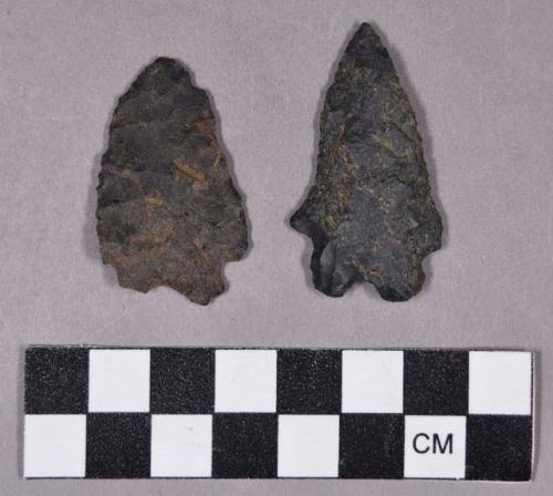 Chipped stone, projectile points, bifurcate base