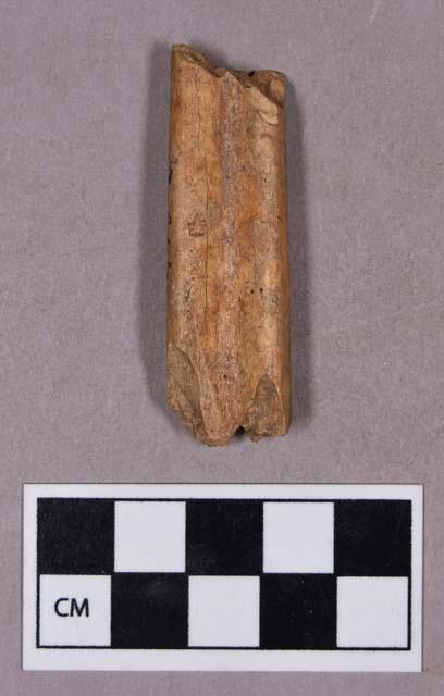 Organic, faunal remains, bone fragment