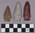 Chipped stone, projectile points, stemmed