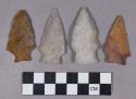 Chipped stone, projectile points, stemmed