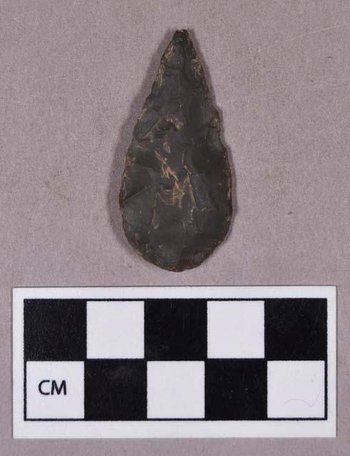 Chipped stone, projectile point, leaf-shaped