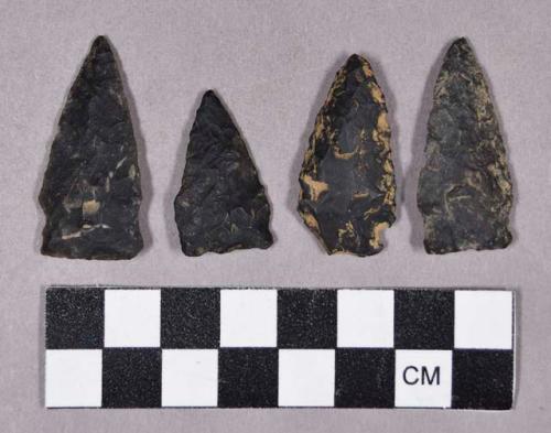 Chipped stone, projectile points, includes stemmed and triangular