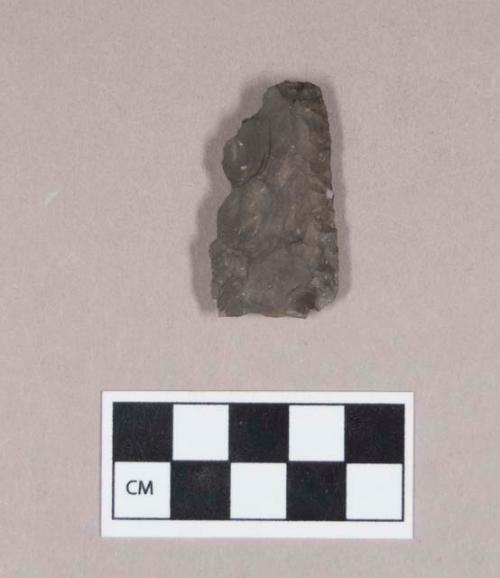 Chipped stone, biface fragment