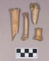 Animal bones and bone fragments, including phalange