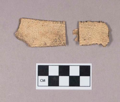 Turtle bone fragments, two fragments crossmend