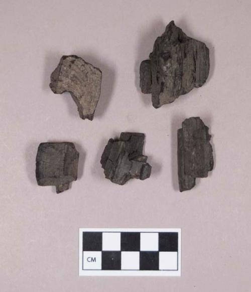 Charcoal fragments, ring-porous wood