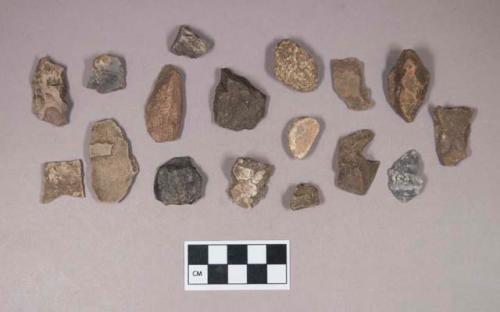 Chipped stone, flakes; stone fragments, no visible modifications; shell fragment, burned; possible animal bone fragment; floral remain