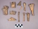 Animal bone fragments, including phalanges, mandibles with teeth intact, maxilla with some teeth intact; animal teeth fragments; rodent tooth fragment; bird bone fragments