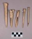 Worked animal bone awls