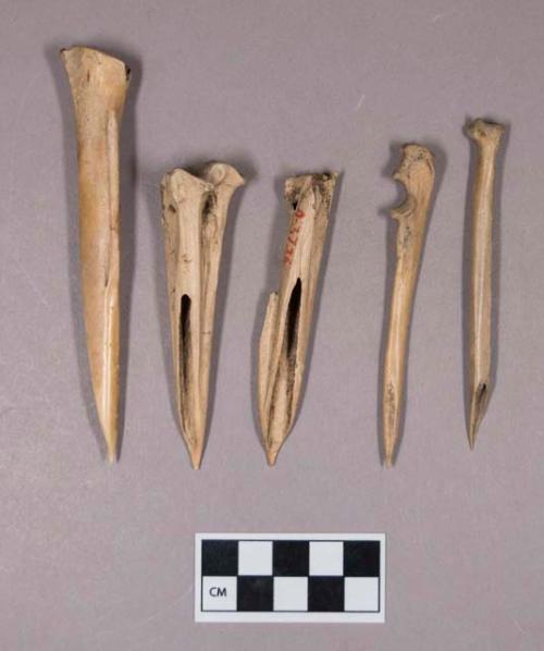 Worked animal bone awls