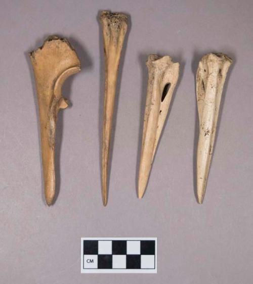 Worked animal bone awls