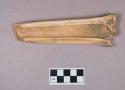 Worked animal bone tool, tapered at one end