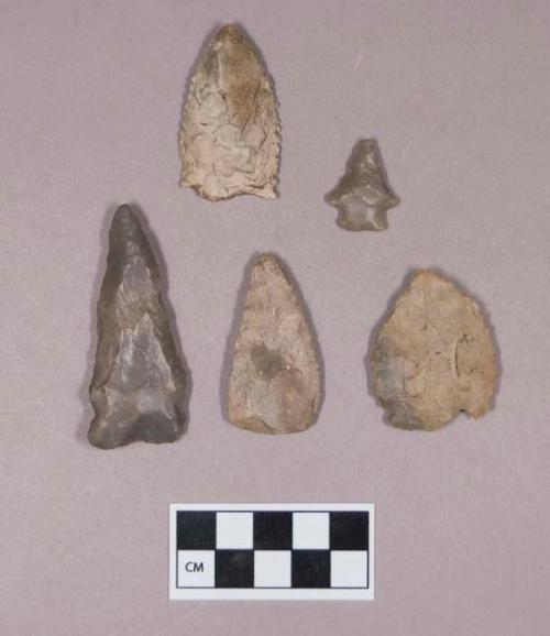 Chipped stone, projectile points, triangular, side-notched, corner-notched, and serrated