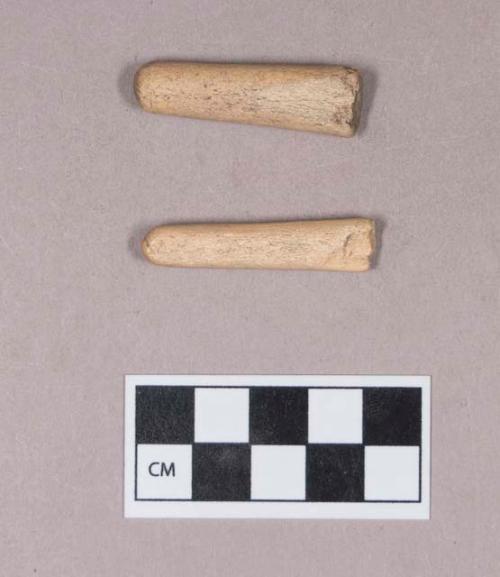 Worked animal bone tool fragments, rounded at one end