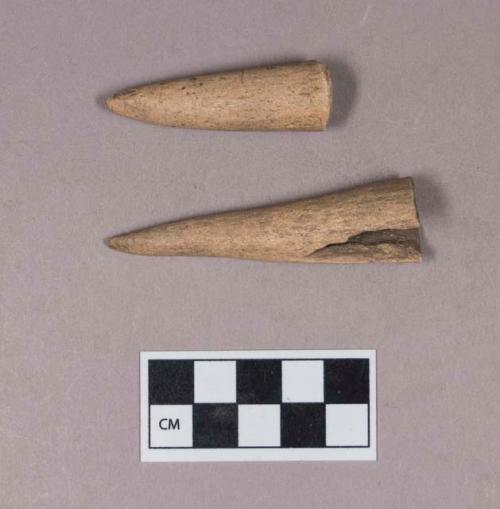 Cut and worked antler tip fragments