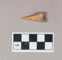 Worked animal bone object, drilled phalange