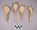 Worked animal bone awls, made from ulnas