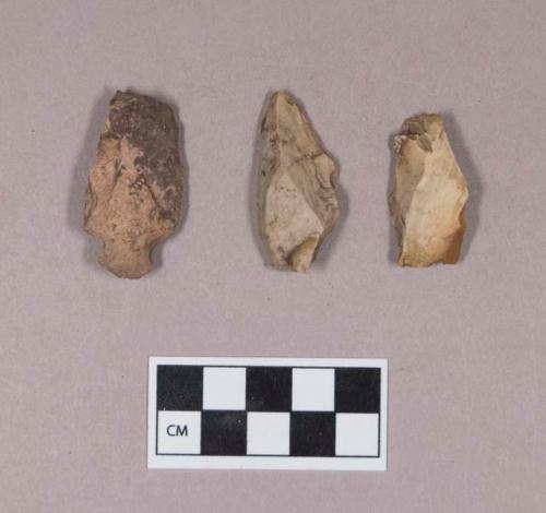 Chipped stone, projectile point, stemmed; chipped stone, flakes