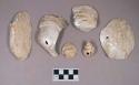 Worked bivalve shell fragments, two possibly intentionally perforated; gastropod shell, possibly intentionally perforated