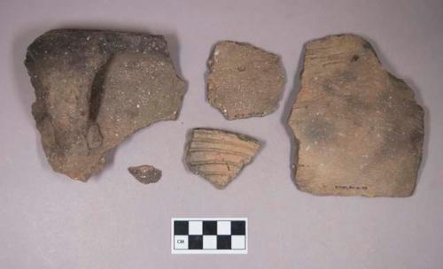 Ceramic, earthenware body, rim, and handle sherds, some undecorated, one incised, two cord-impressed, shell-tempered