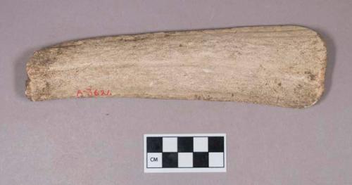 Cut and worked antler object, flattened and sharpened at one end