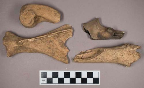 Bone fragments with butchery marks