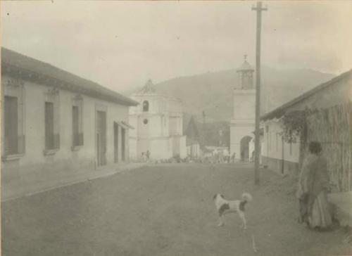 Woman and dog in street