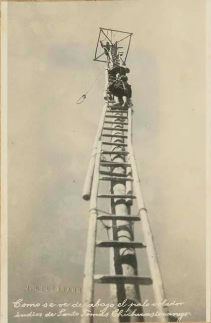 Dancers climbing up the Palo Volador seen from below