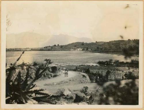 View of shore from Samuel K. Lothrop's house