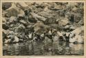 Group bathing next to rocky shoreline