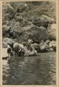 Group bathing next to rocky shoreline