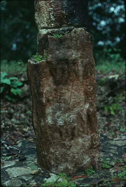 Yaxchilan, Stela 31