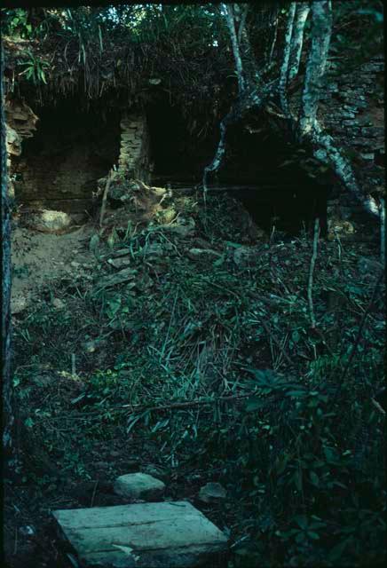 La Pasadita, remains of lintel near south door of Structure 1, with temple in background