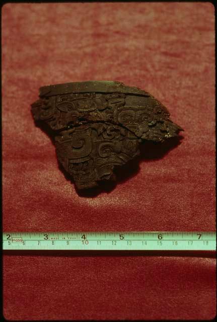 Rio Azul, fragment of carved wooden bowl left by looters