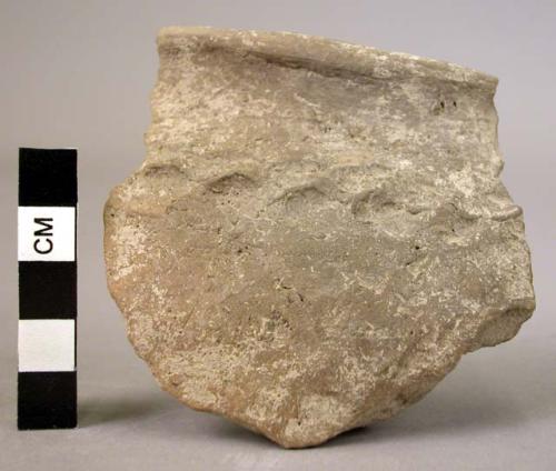 12 sherds with impressed decoration