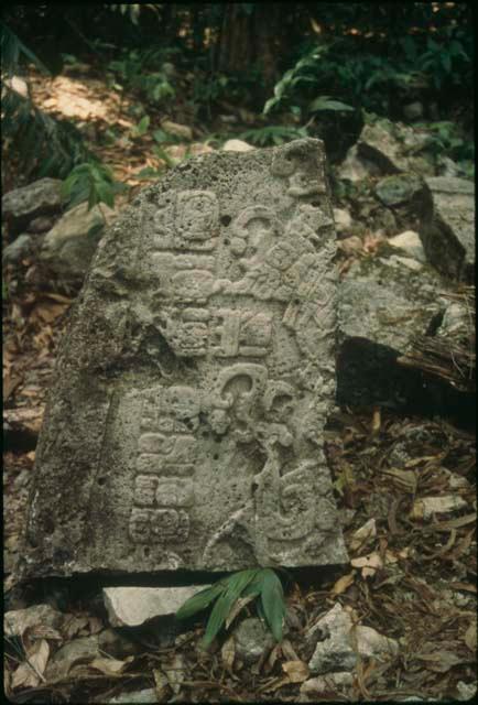 El Chorro, Stela