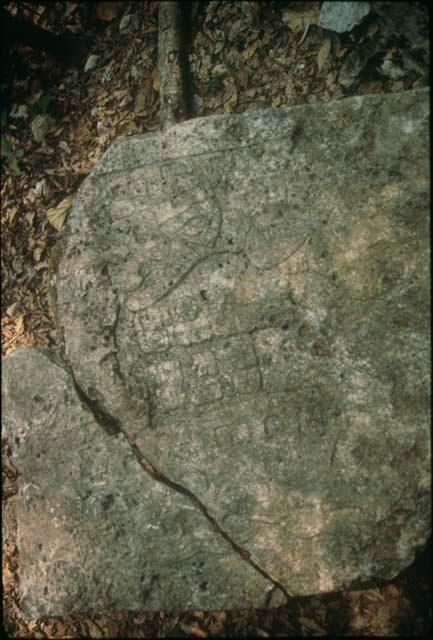 El Chorro, Stela, detail