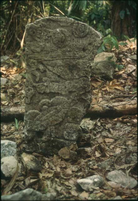 El Chorro, Stela