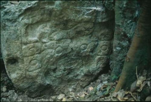 Zapote Bobal, stela, lower part, front