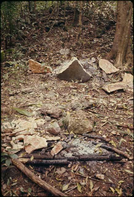 Naranjo, broken stela fragments