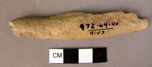 1 fragment of worked bone