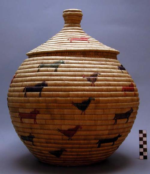 Coiled basket lid (B); horse and chicken motifs